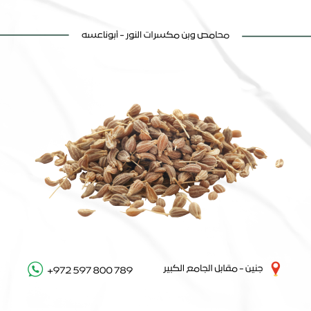 يانسون