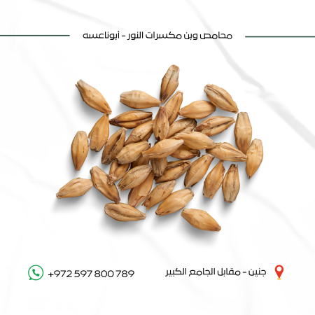 شعير