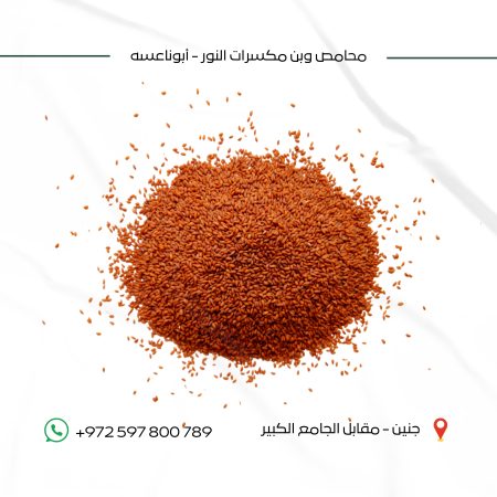 بذور الرشاد