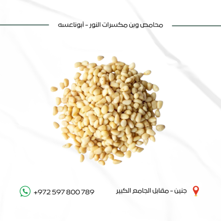 صنوبر صيني