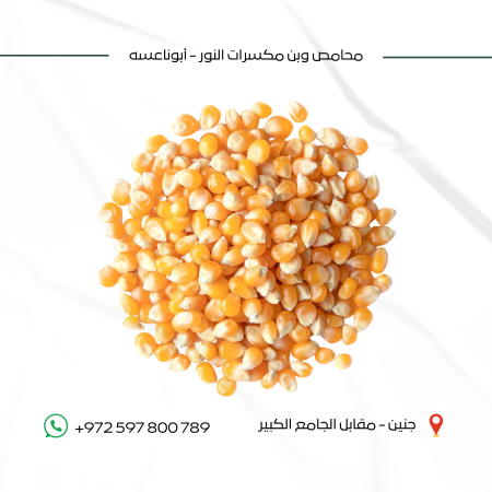ذرة ( بشار )