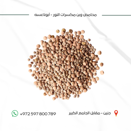 عدس بني