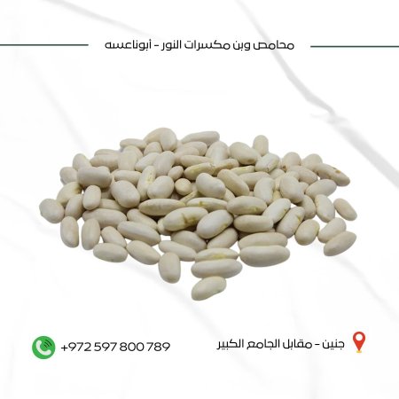 فاصوليا بيضاء